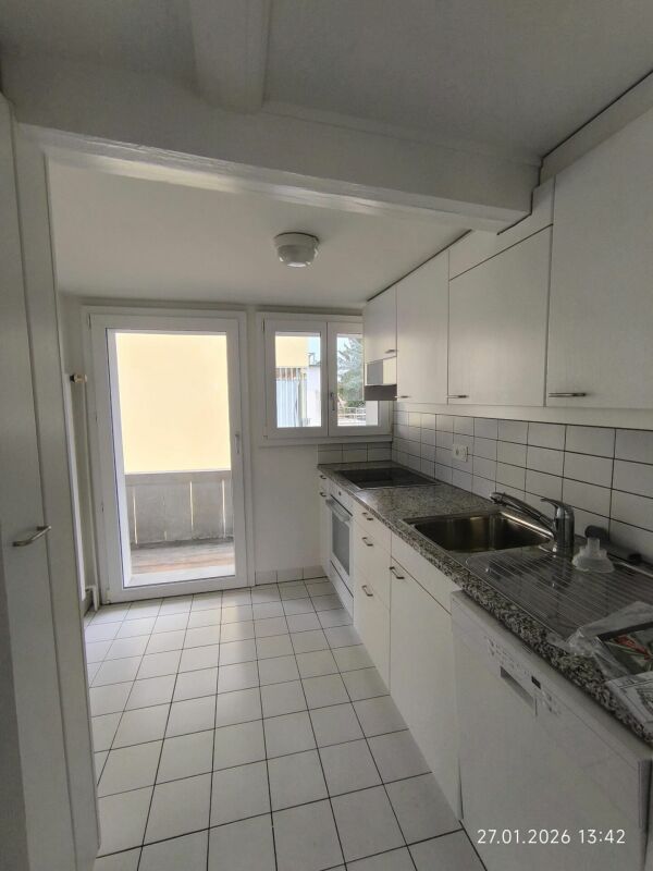 Helle schmale Einbauküche mit Zugang zum Balkon