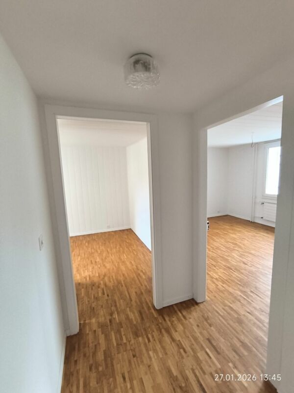 Heller leerer Flur mit zwei Durchgängen