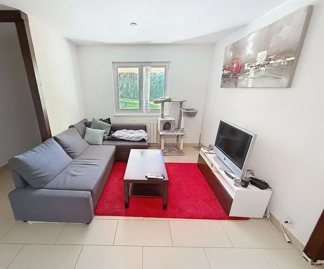 Wohnzimmer mit grauem Ecksofa und rotem Teppich