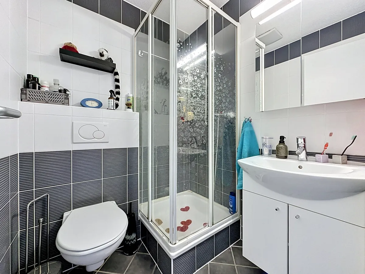 Modernes kleines Badezimmer mit Dusche und WC