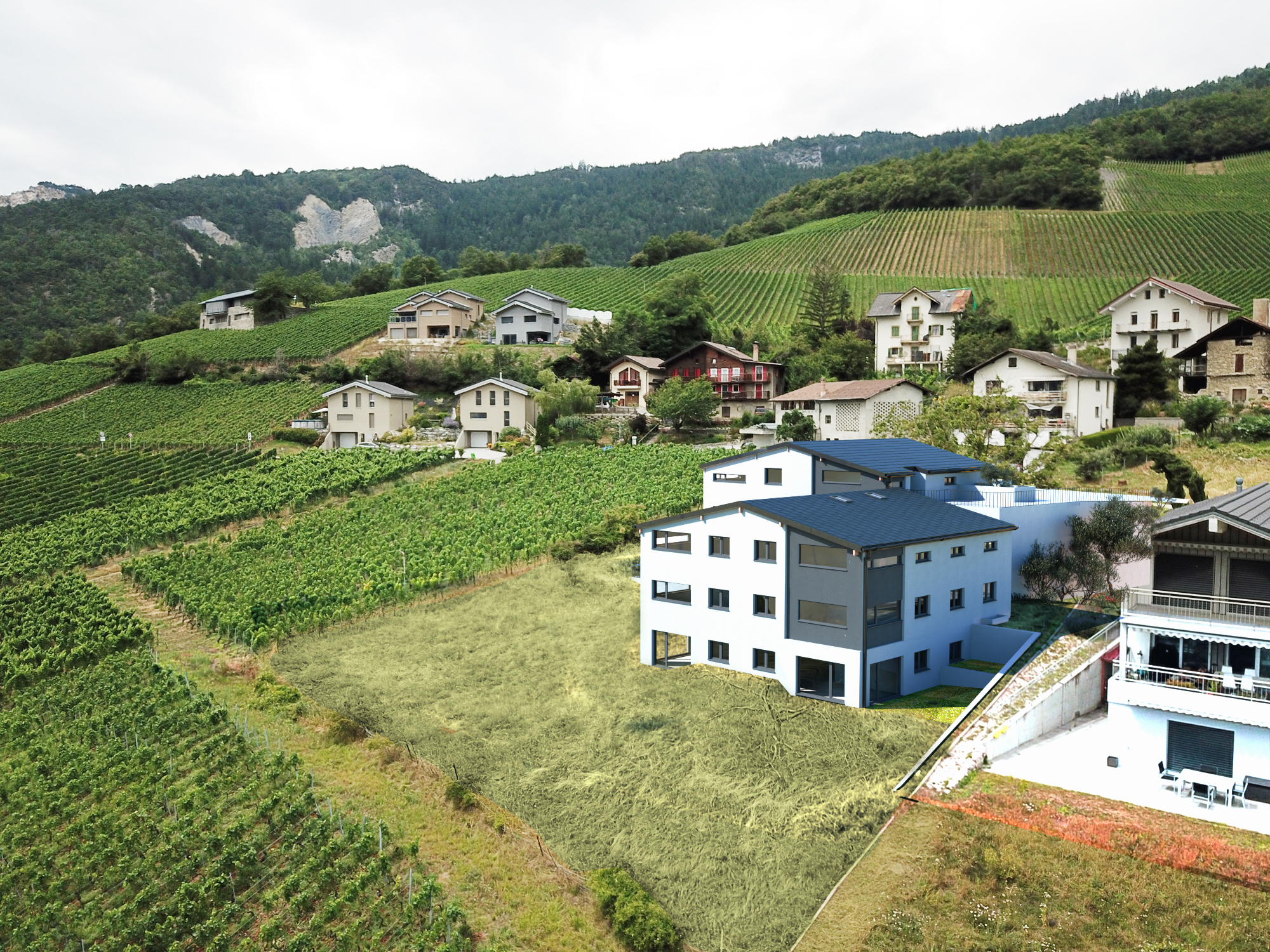 Luftaufnahme eines Weinbergs mit Siedlungsbebauung