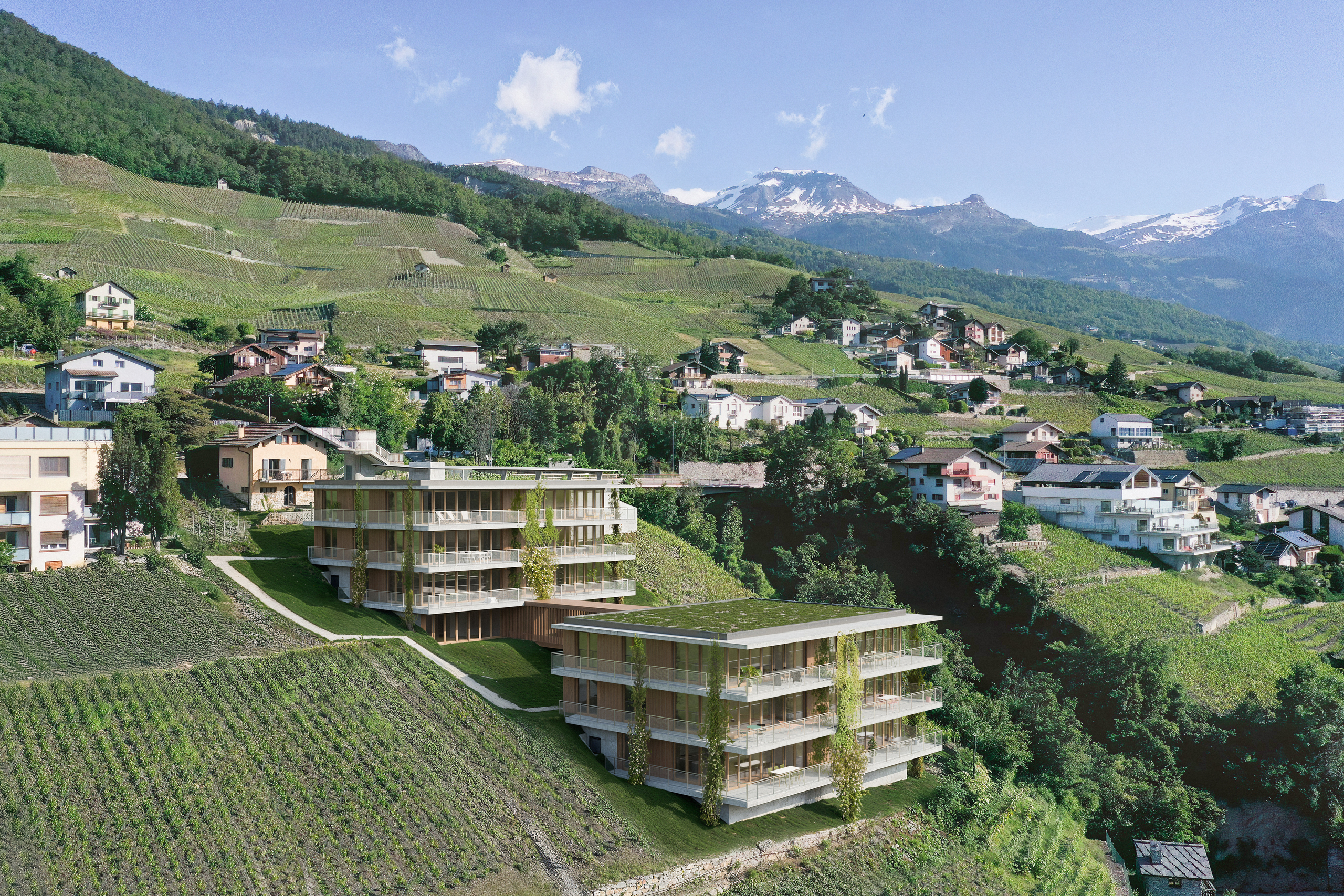 Weitwinkel-Luftaufnahme eines terrassierten Weinbergs mit Wohngebäuden und Bergpanorama
