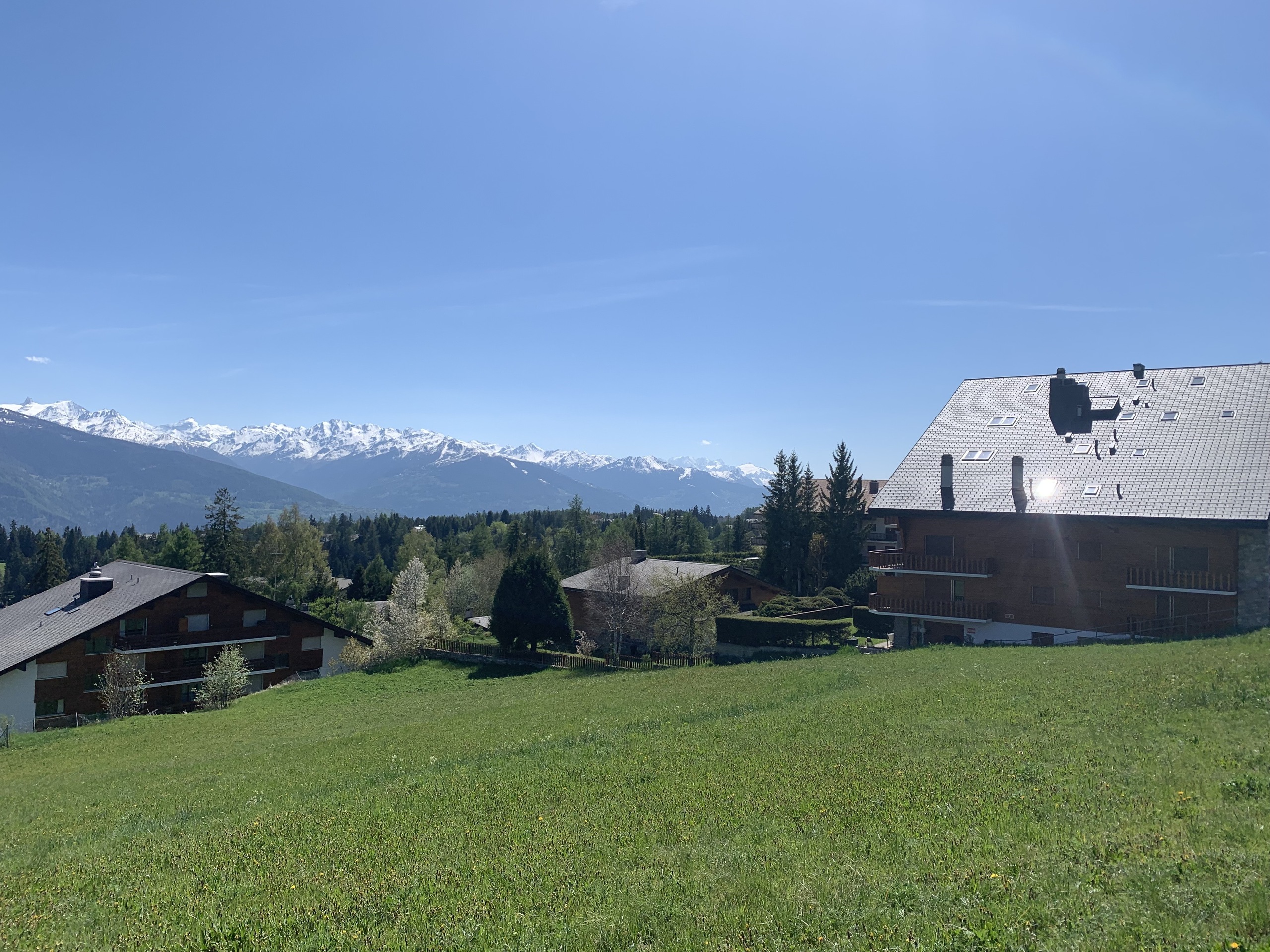 Bergblick über Wiese und Wohnhäuser