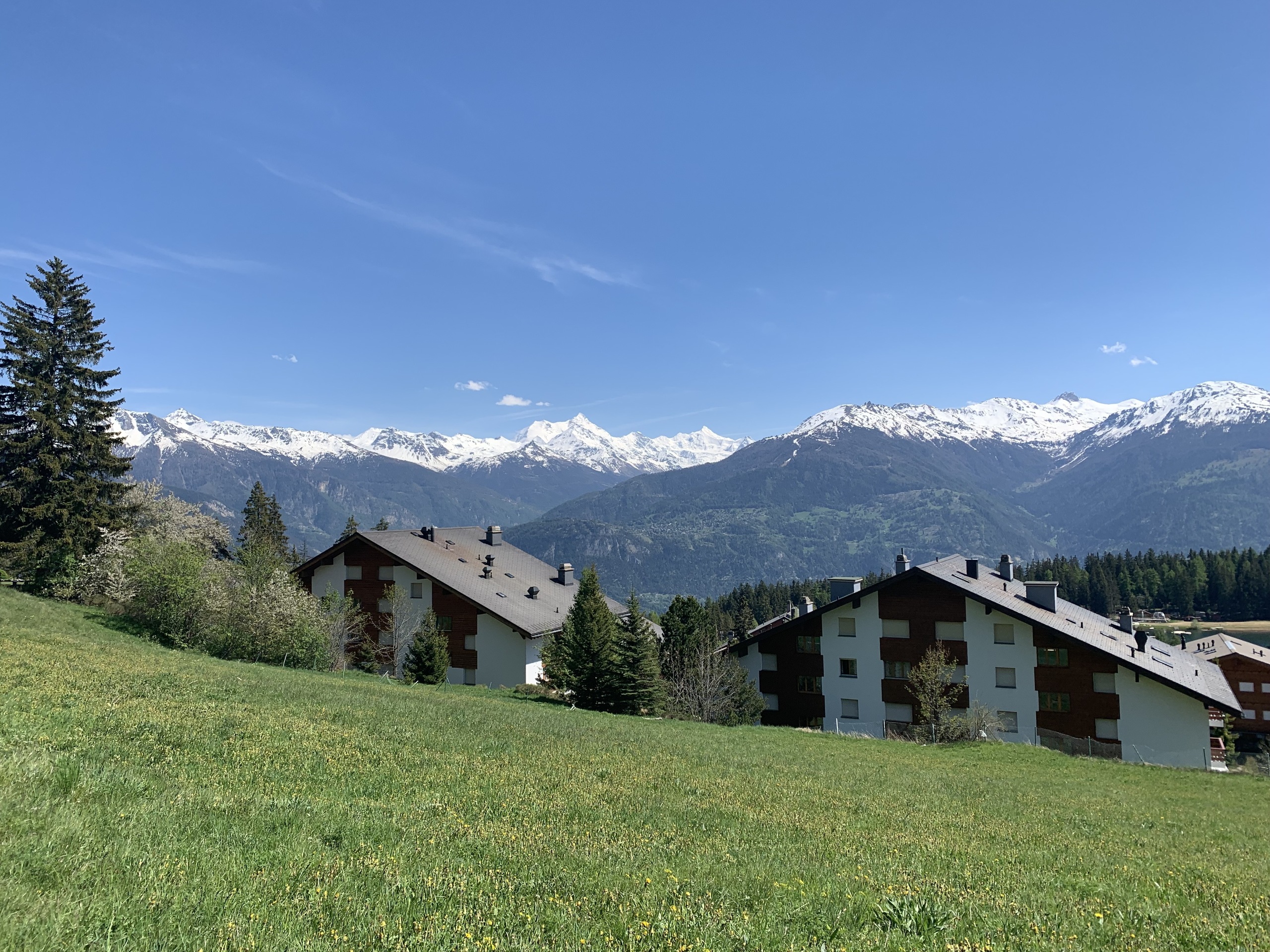 Alpine Landschaft mit Wohngebäuden und Bergpanorama