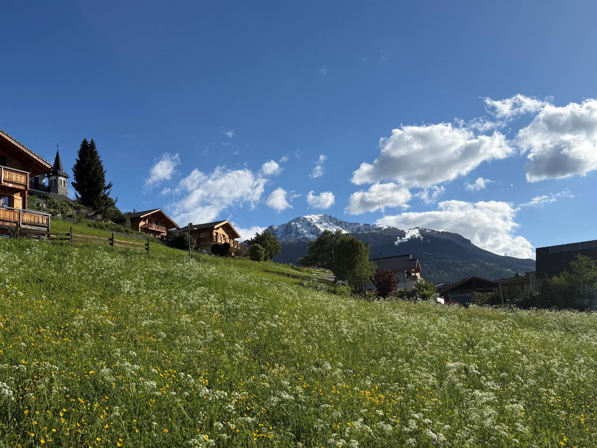 Alpine Wiese mit Chalets und Bergblick