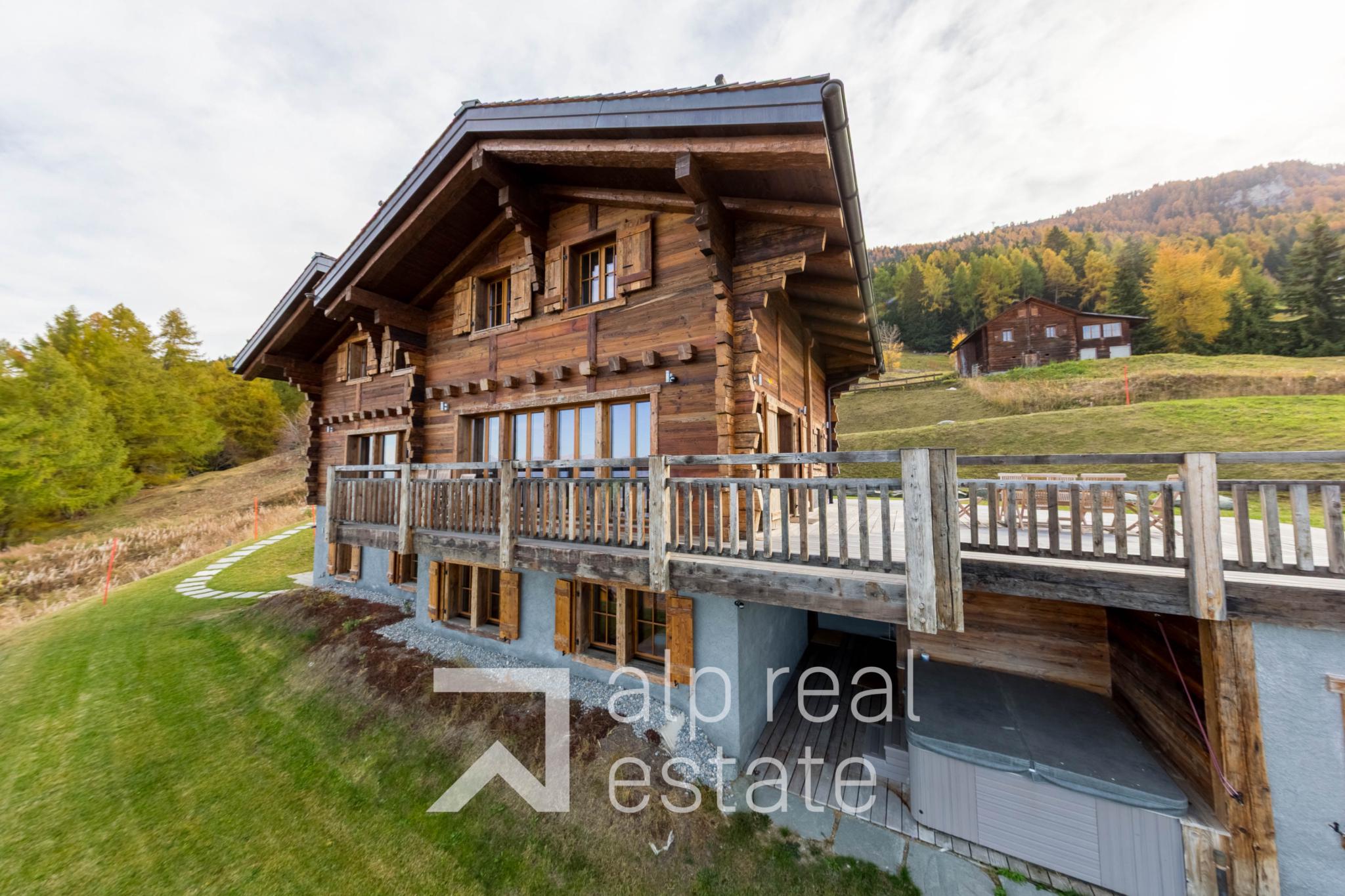 Alpines Holzchalet mit Terrasse