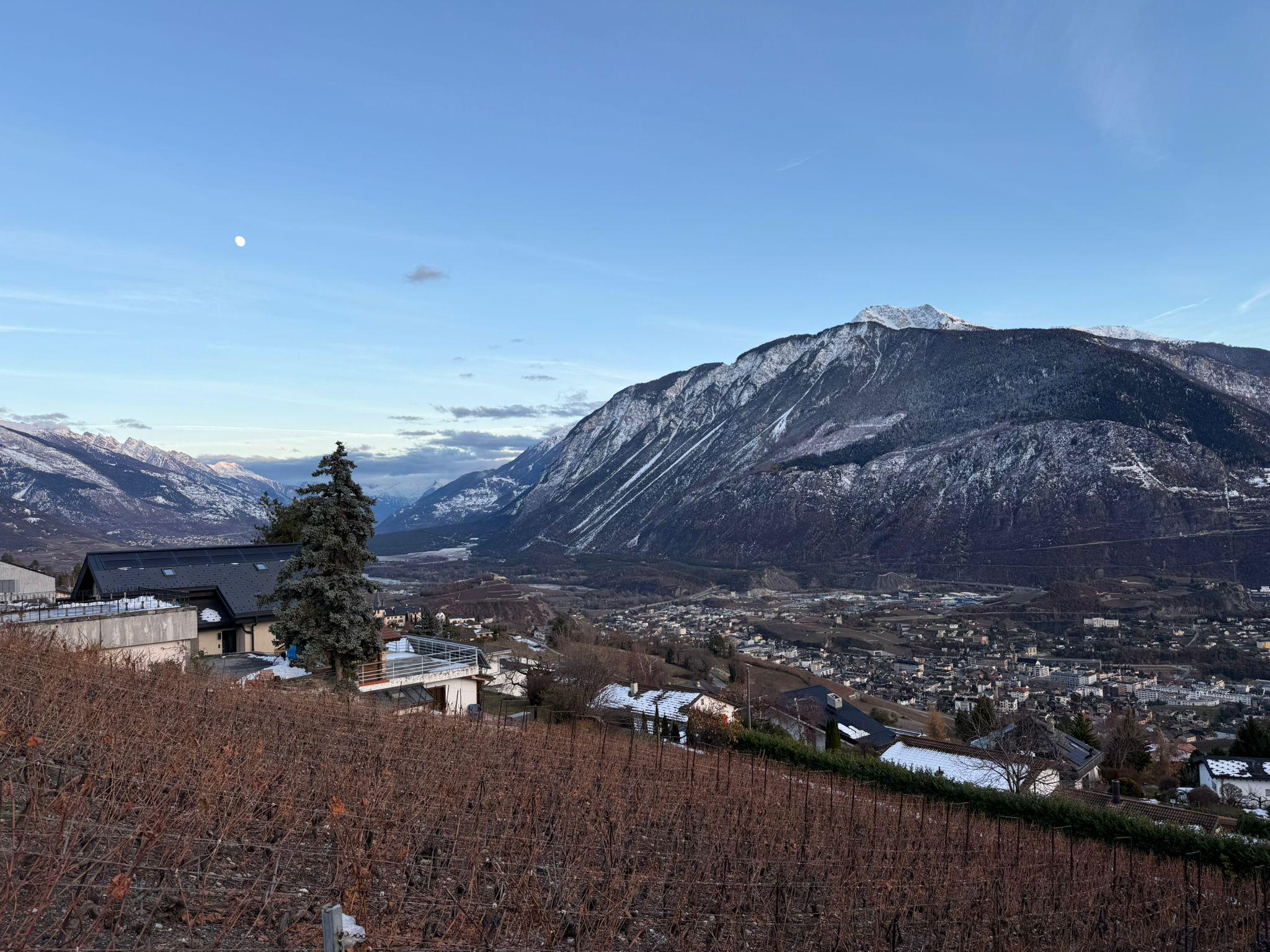 Bergpanorama über einer Talstadt