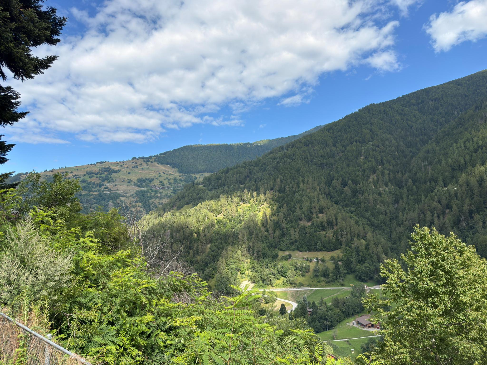 Bergtal mit Wald und Wiesen