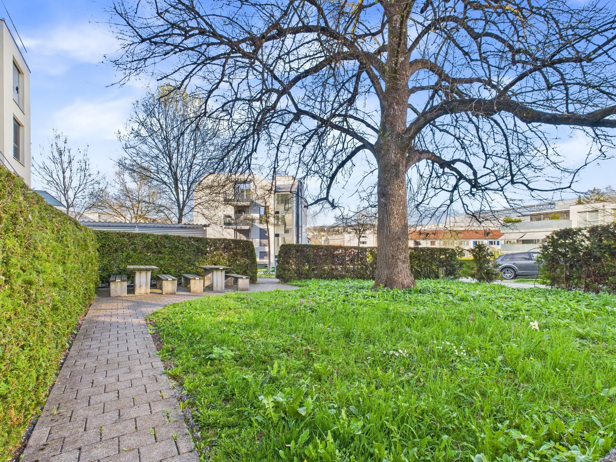 Wohnhaus-Garten mit Sitzgruppe und altem Baum