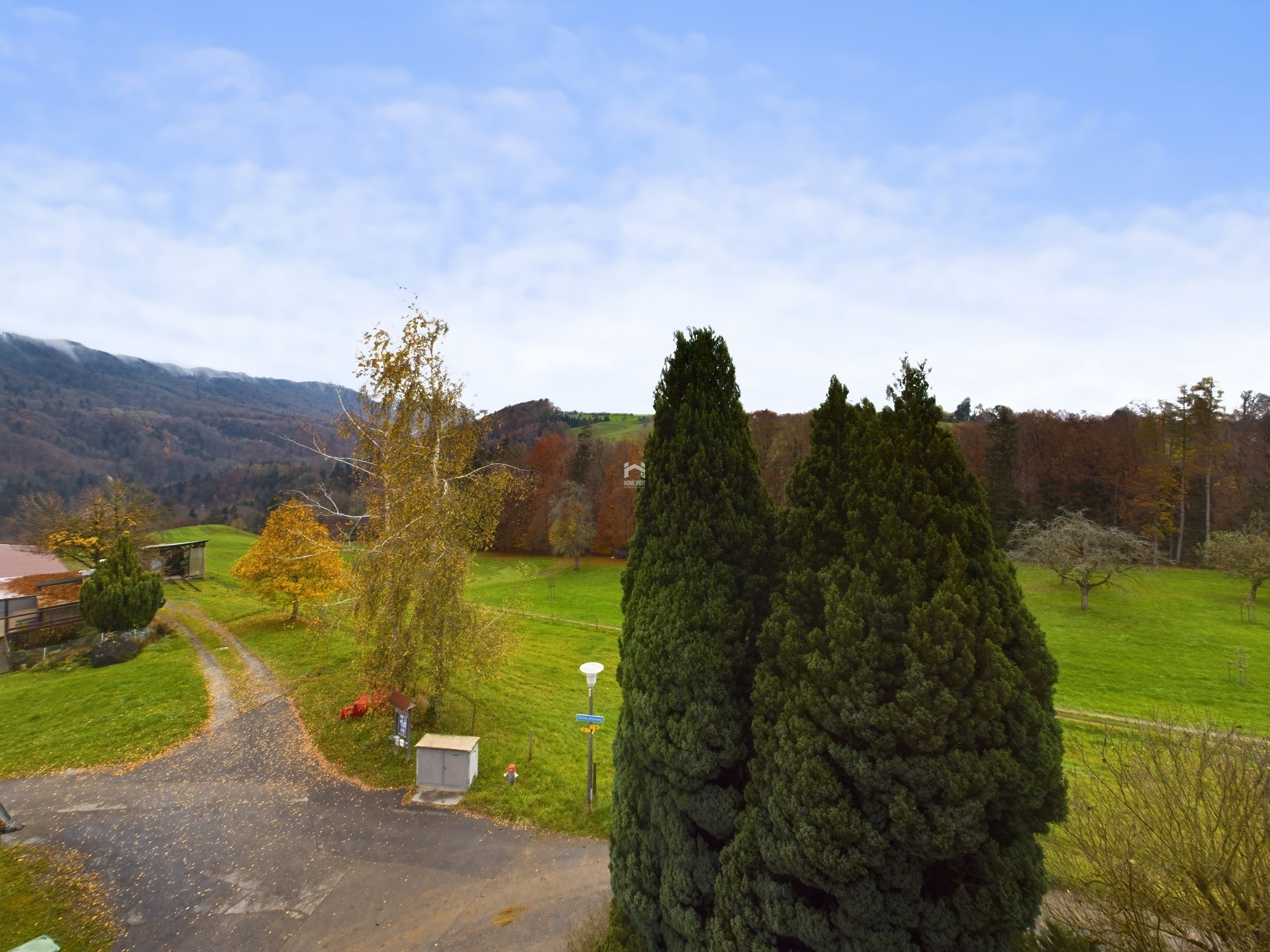 Landschaftsblick mit Wiese und Bäumen