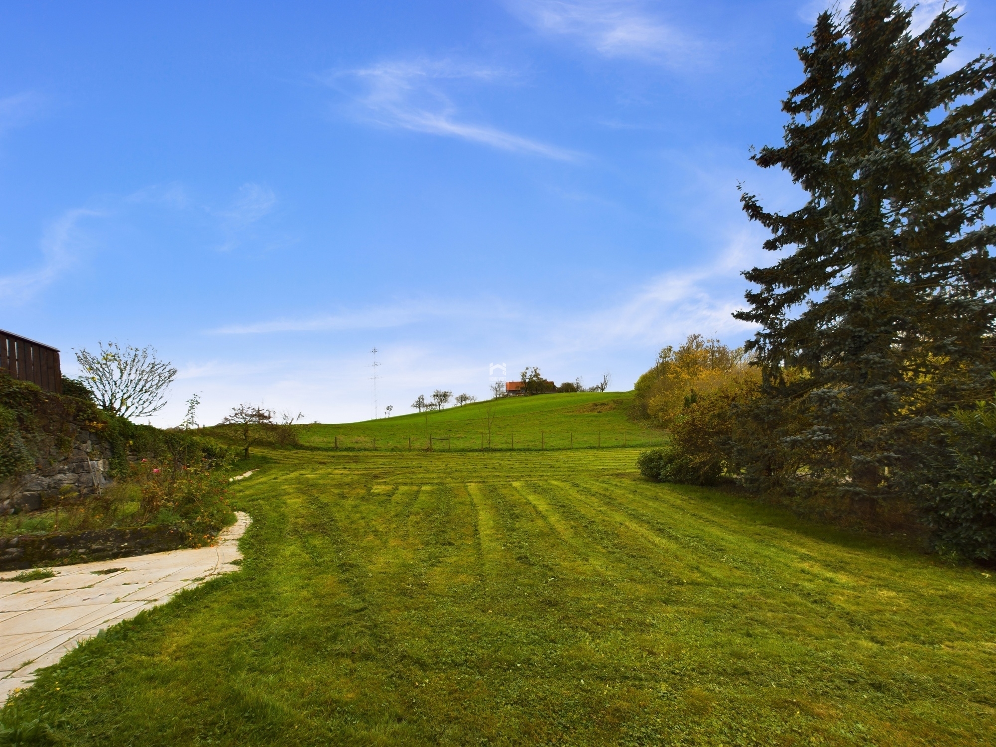 Großer grüner Garten mit weitem Himmel
