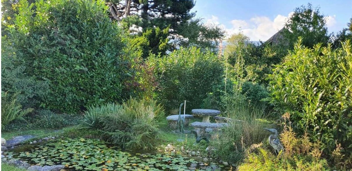 Üppiger Gartenteich mit Wasserpflanzen