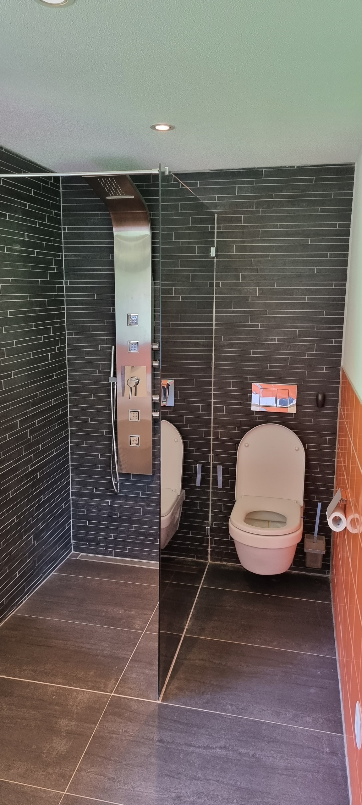 Modernes Badezimmer mit dunkler Dusche und WC