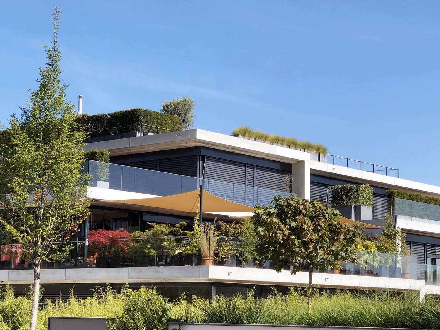 Moderne Terrassenanlage mit begrüntem Dach