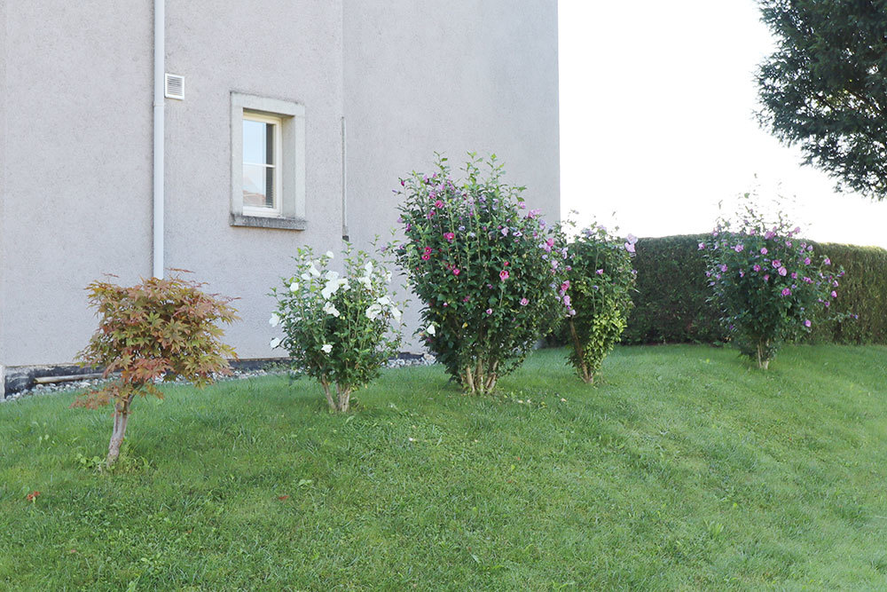 Gartenansicht am Gebäude