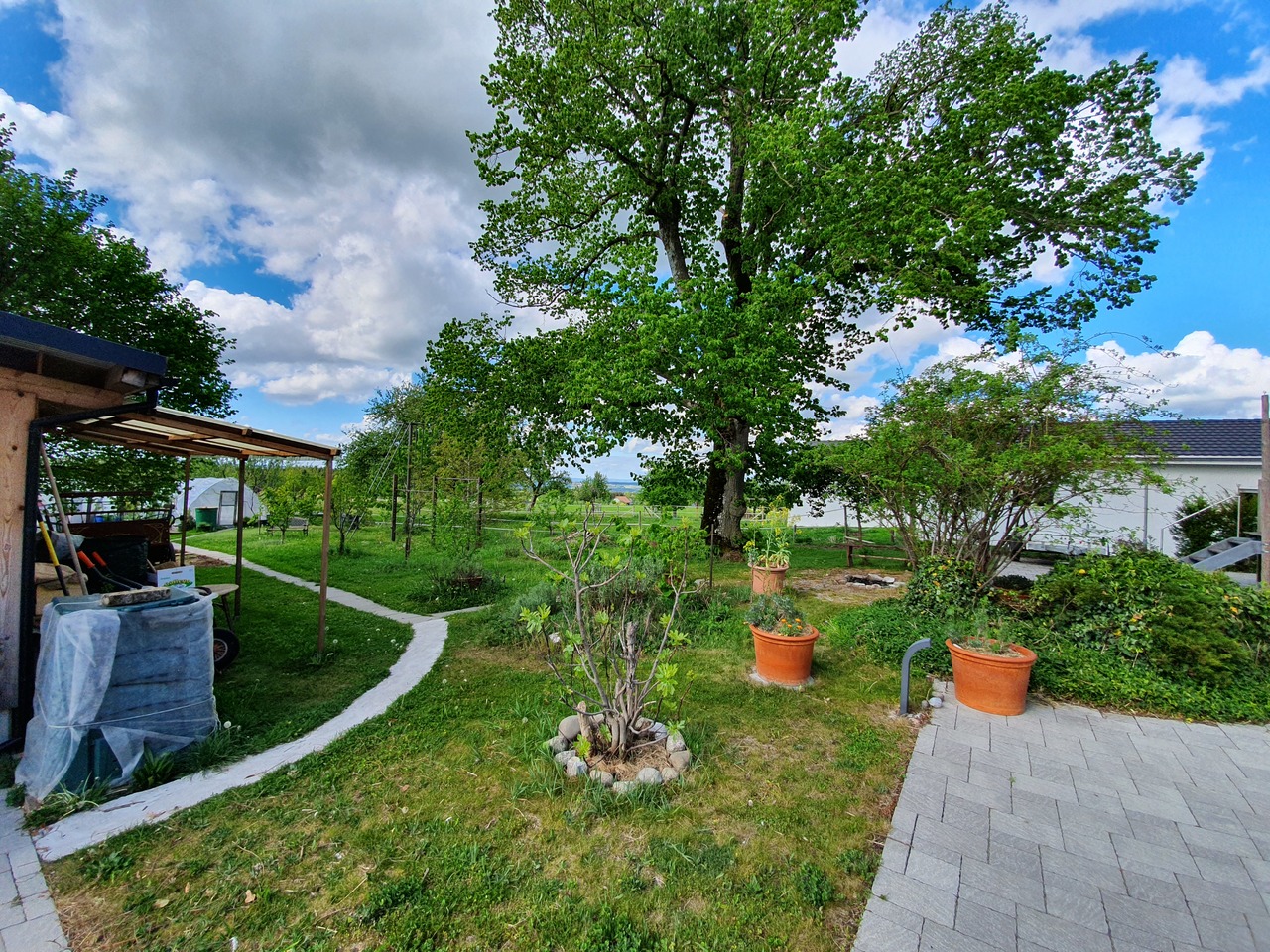 Großer Garten mit Terrasse