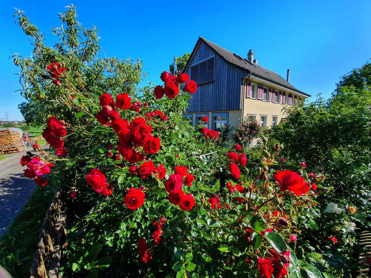 Einfamilienhaus mit blühendem Garten