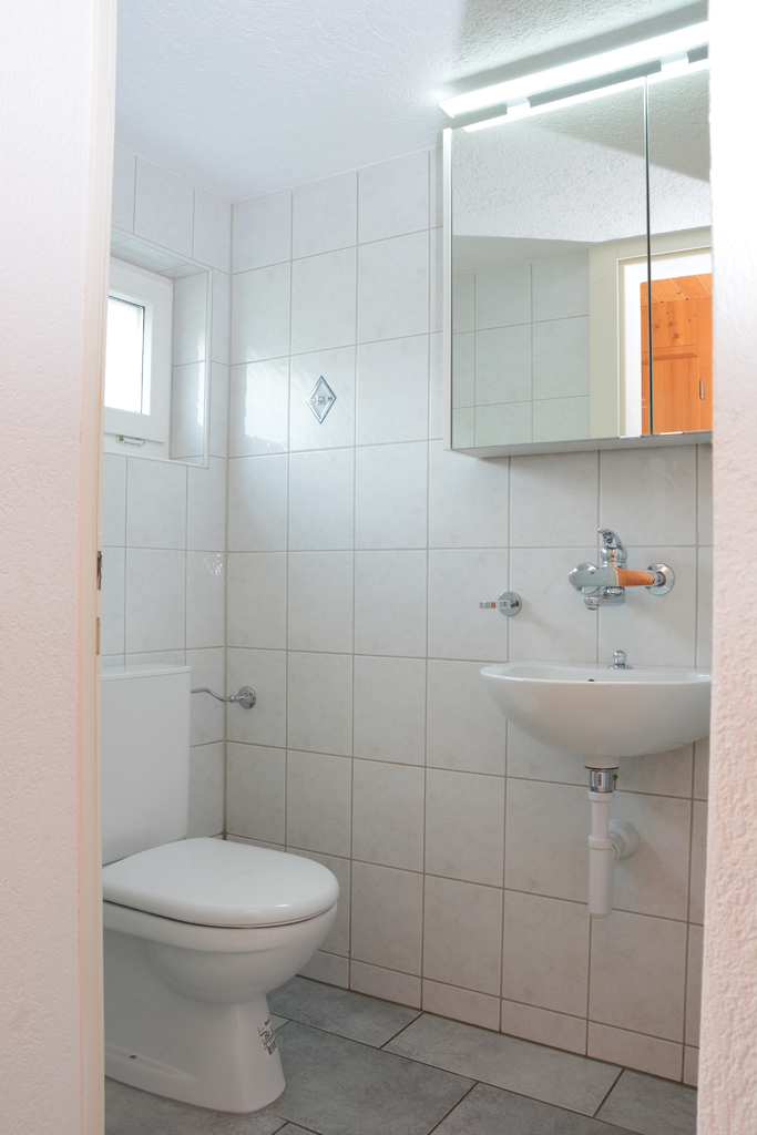 Gäste-WC mit Wand-WC und Waschbecken