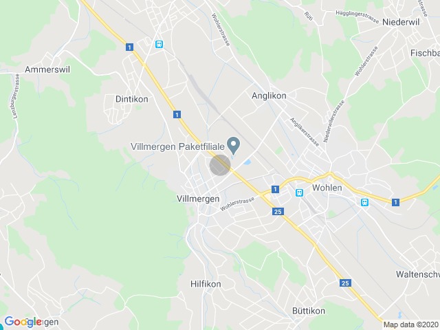 Kartenausschnitt mit Standortmarkierung in Villmergen