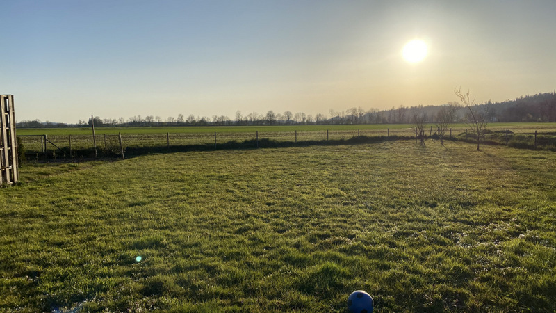 Ländliche Grünfläche bei tief stehender Sonne