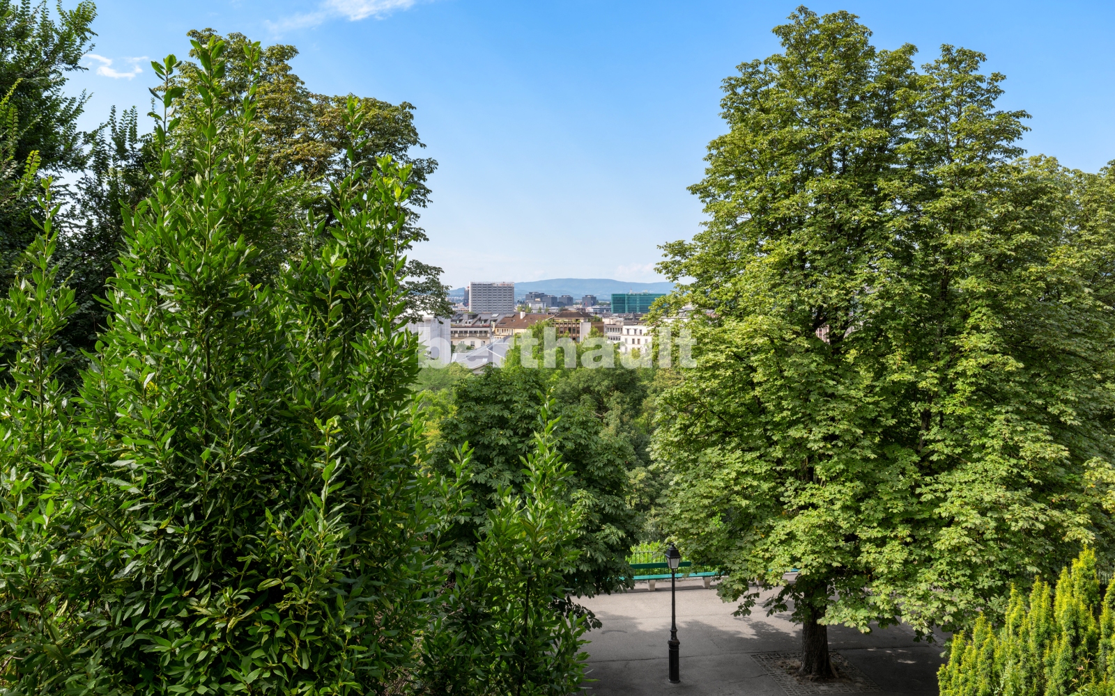 Grüne Park- und Stadtansicht mit weitem Blick