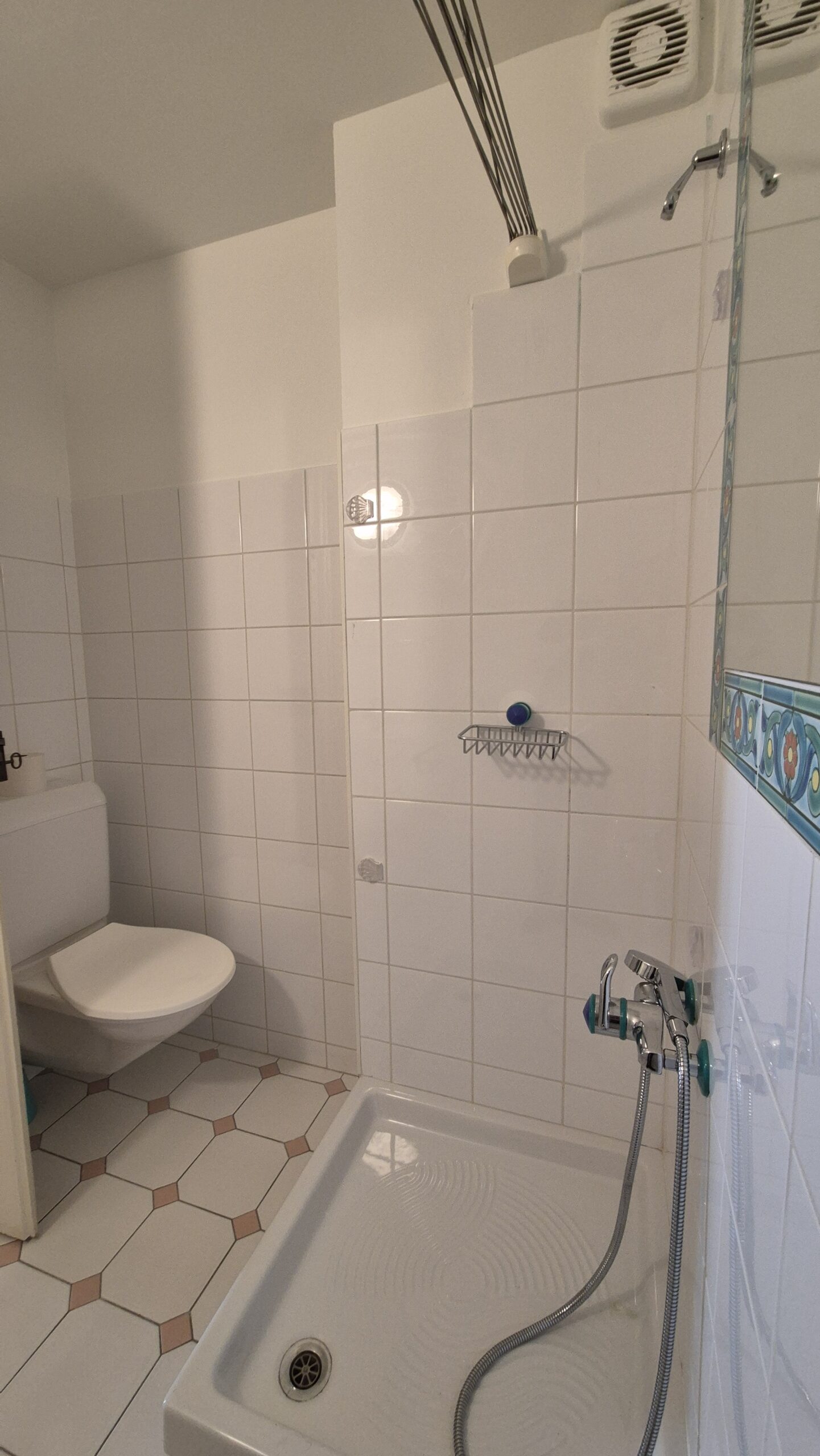 Kleines Badezimmer mit Dusche und WC