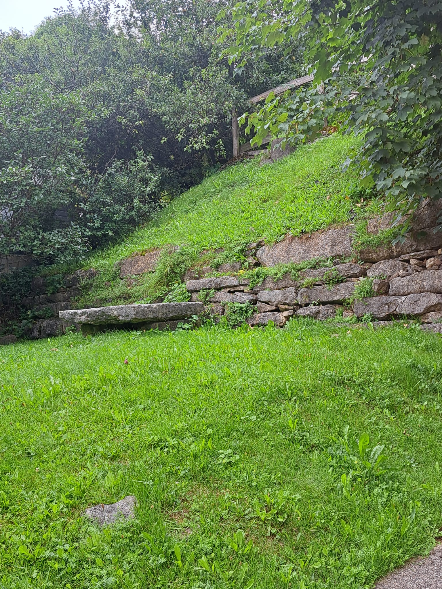 Grüne Hanglage mit Natursteinmauer