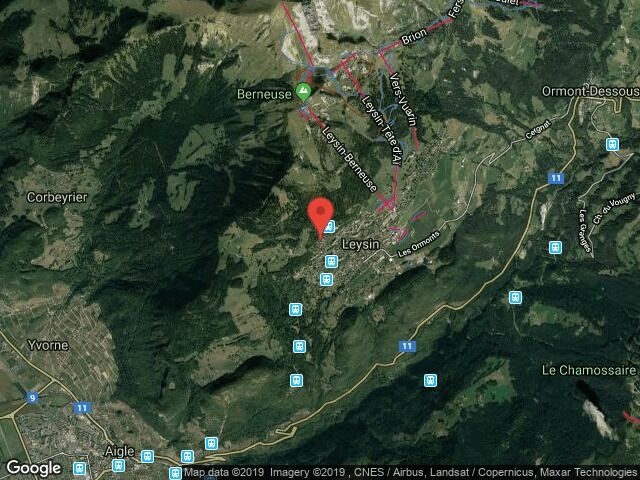 Satellitenansicht einer bergigen Region mit markierter Position bei Leysin