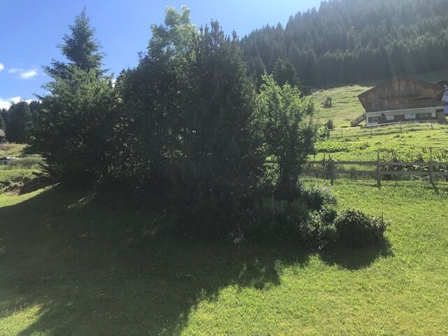 Alpines Grundstück mit Wiese und Bäumen
