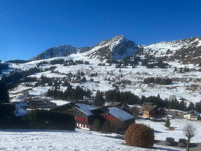 Schneelandschaft mit Bergpanorama und Chalets