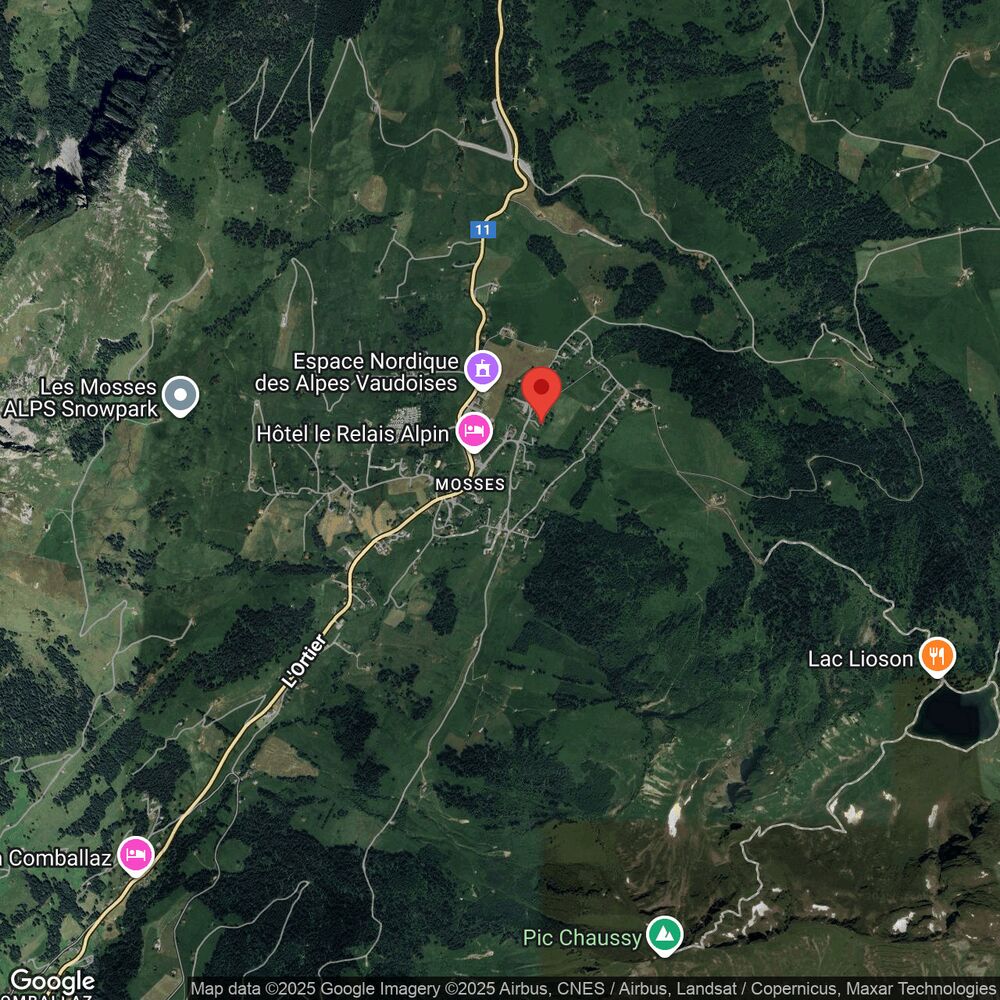 Satellitenkarte einer alpinen Ortschaft