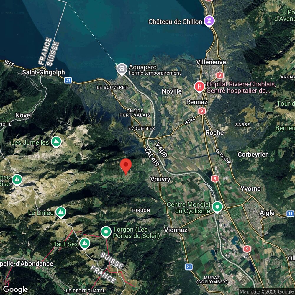 Satellitenkarte einer alpinen Region am Genfersee