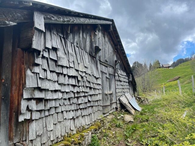 Alte Holzscheune in Hanglage
