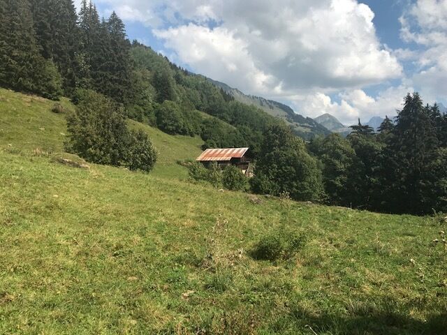 Alpines Grünland mit Hütte