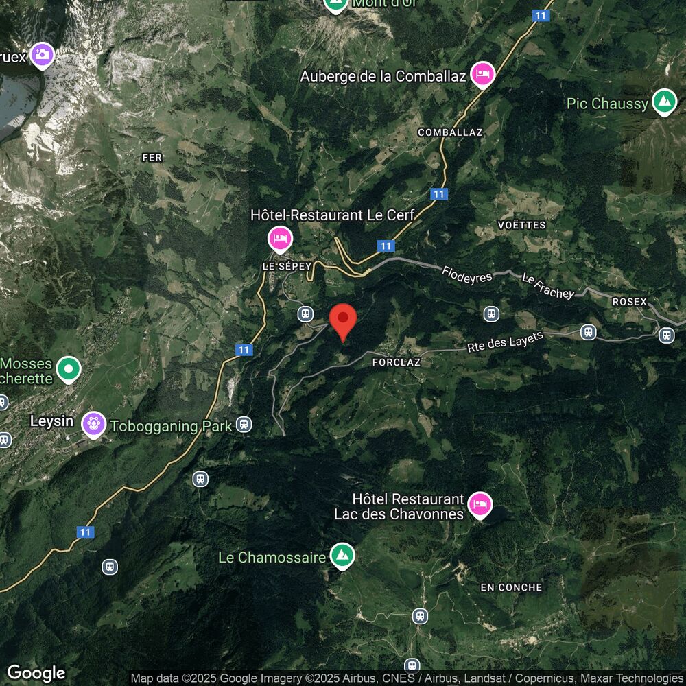 Satellitenkarte einer alpinen Region