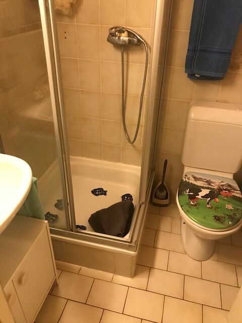 Kleines Badezimmer mit Dusche und WC