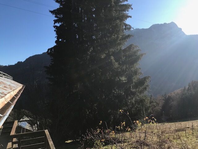 Bergblick mit Tanne und Dachkante