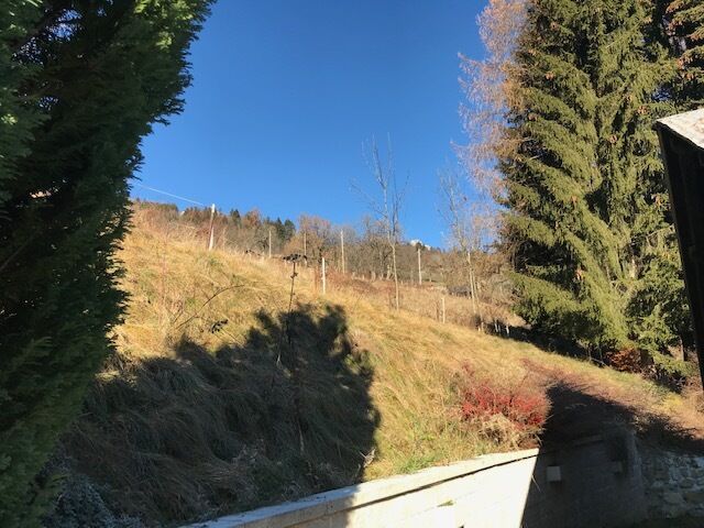 Hanglage mit Bäumen und Hangweg