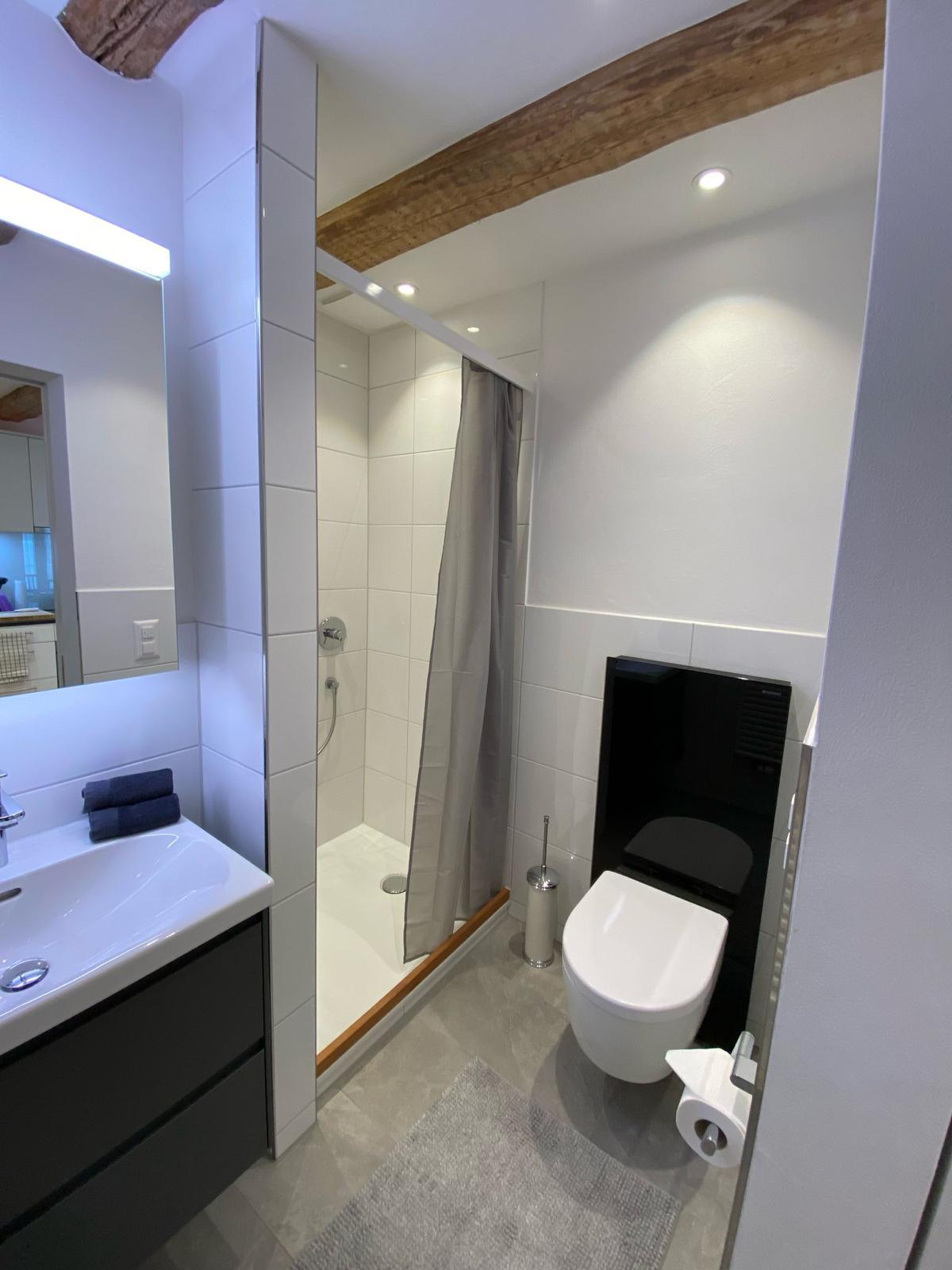 Modernes kleines Badezimmer mit Dusche und WC