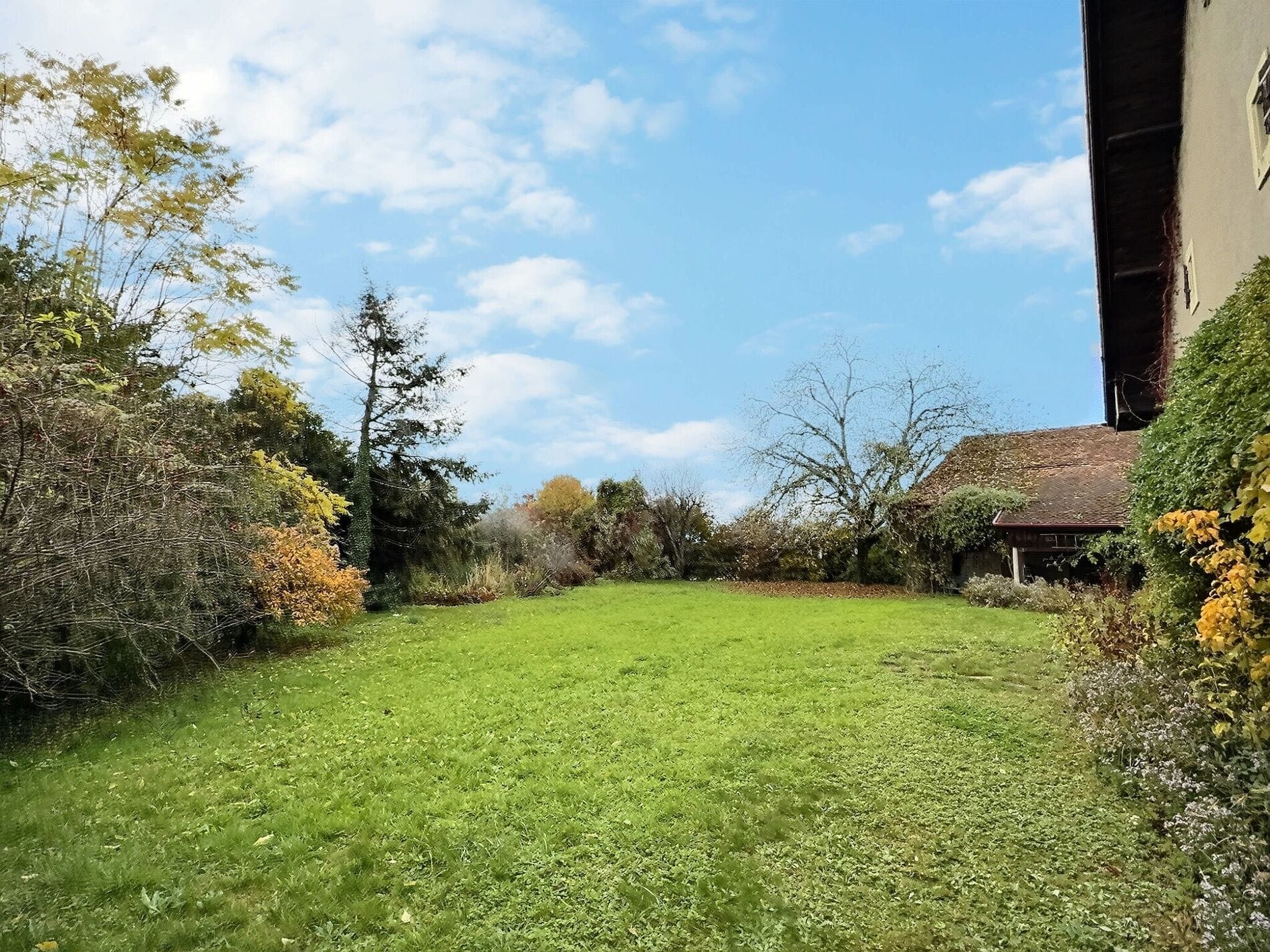 Großer Garten mit Rasenfläche