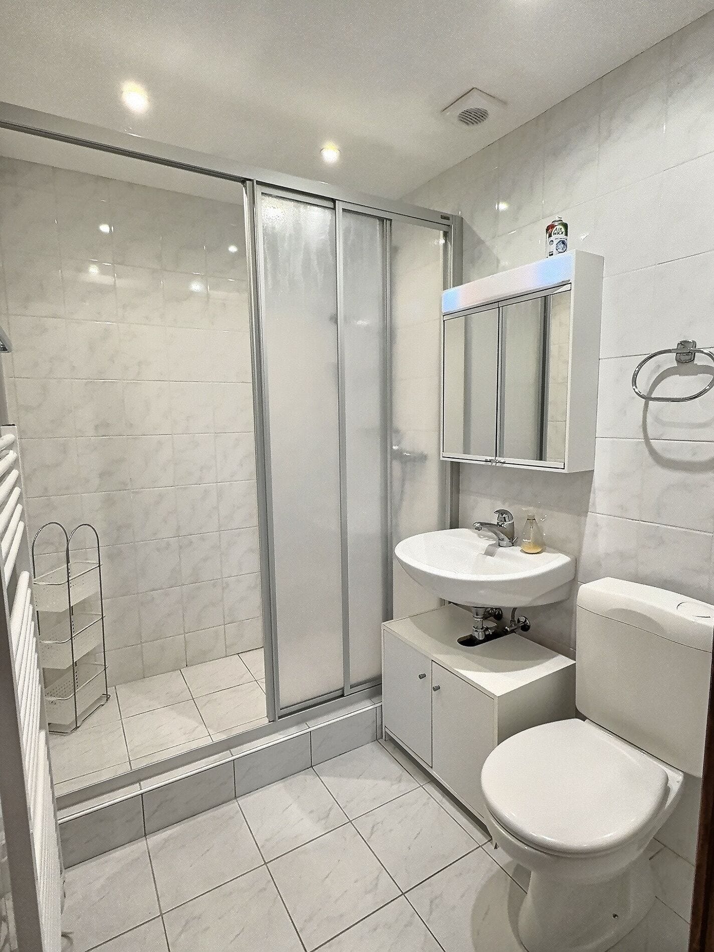 Kleines modernes Badezimmer mit Dusche