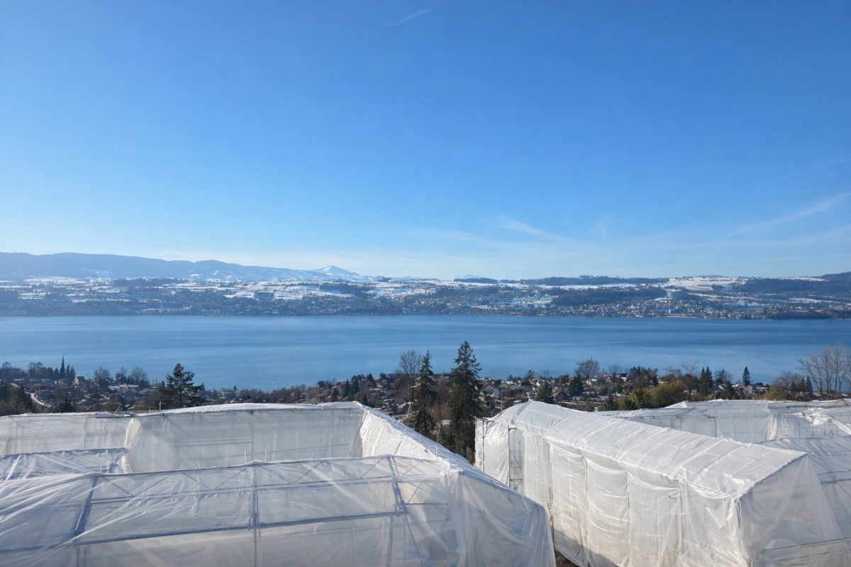 Seeblick über verschneite Landschaft