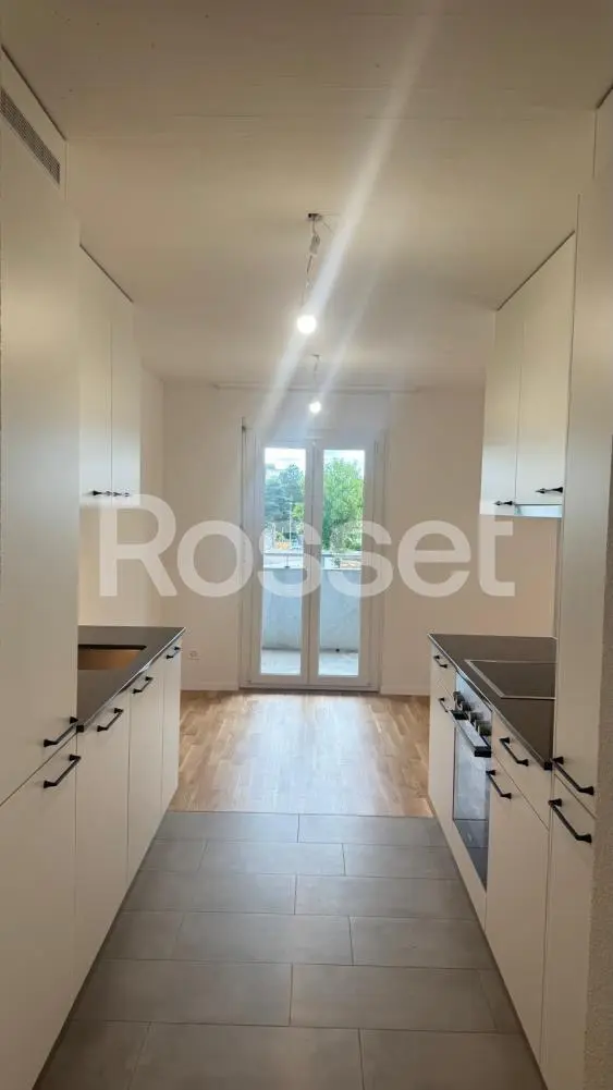 Schmale moderne Küche mit Blick zum Balkon