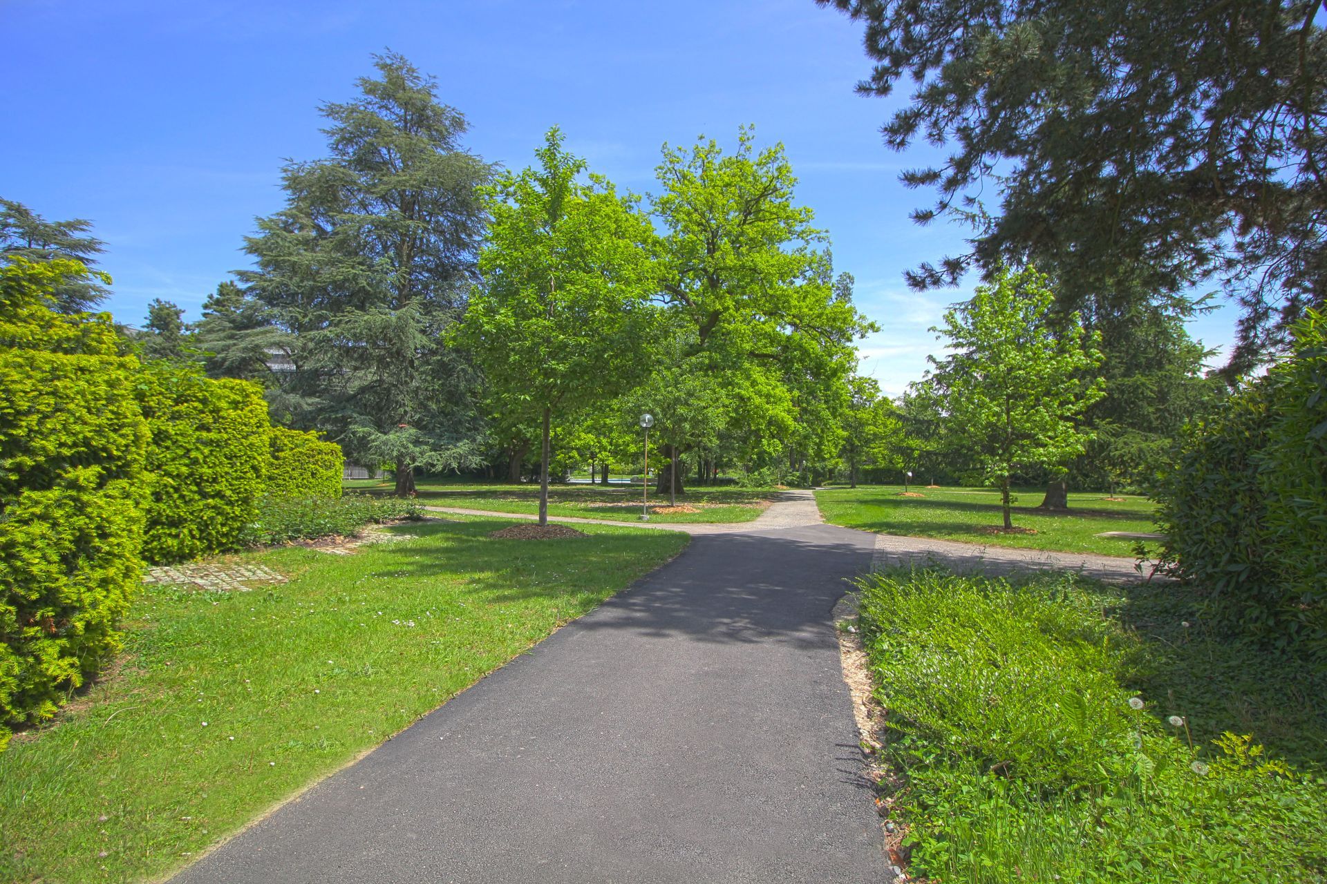 Parkweg in grüner Umgebung