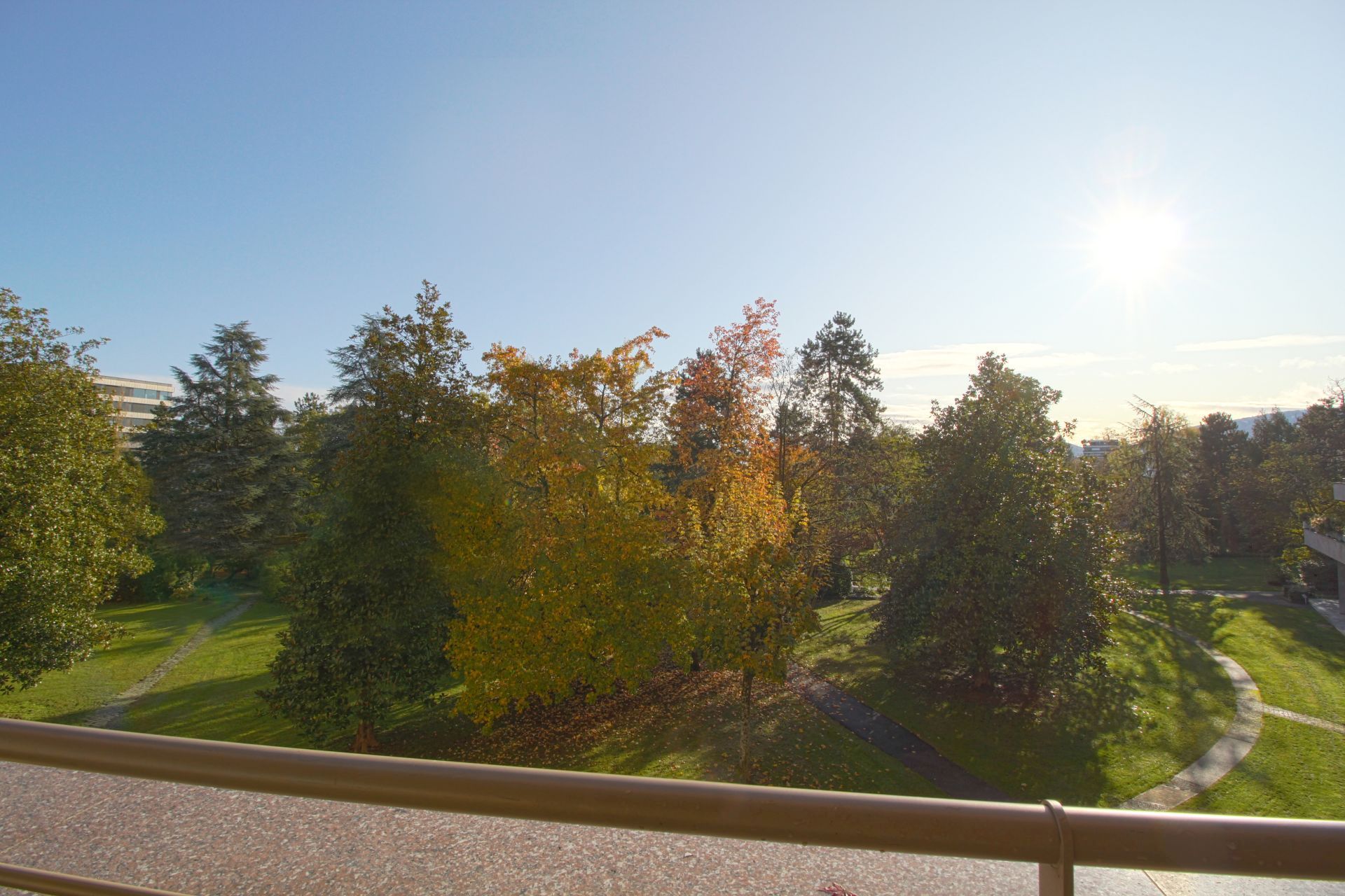 Blick ins Grüne vom Balkon