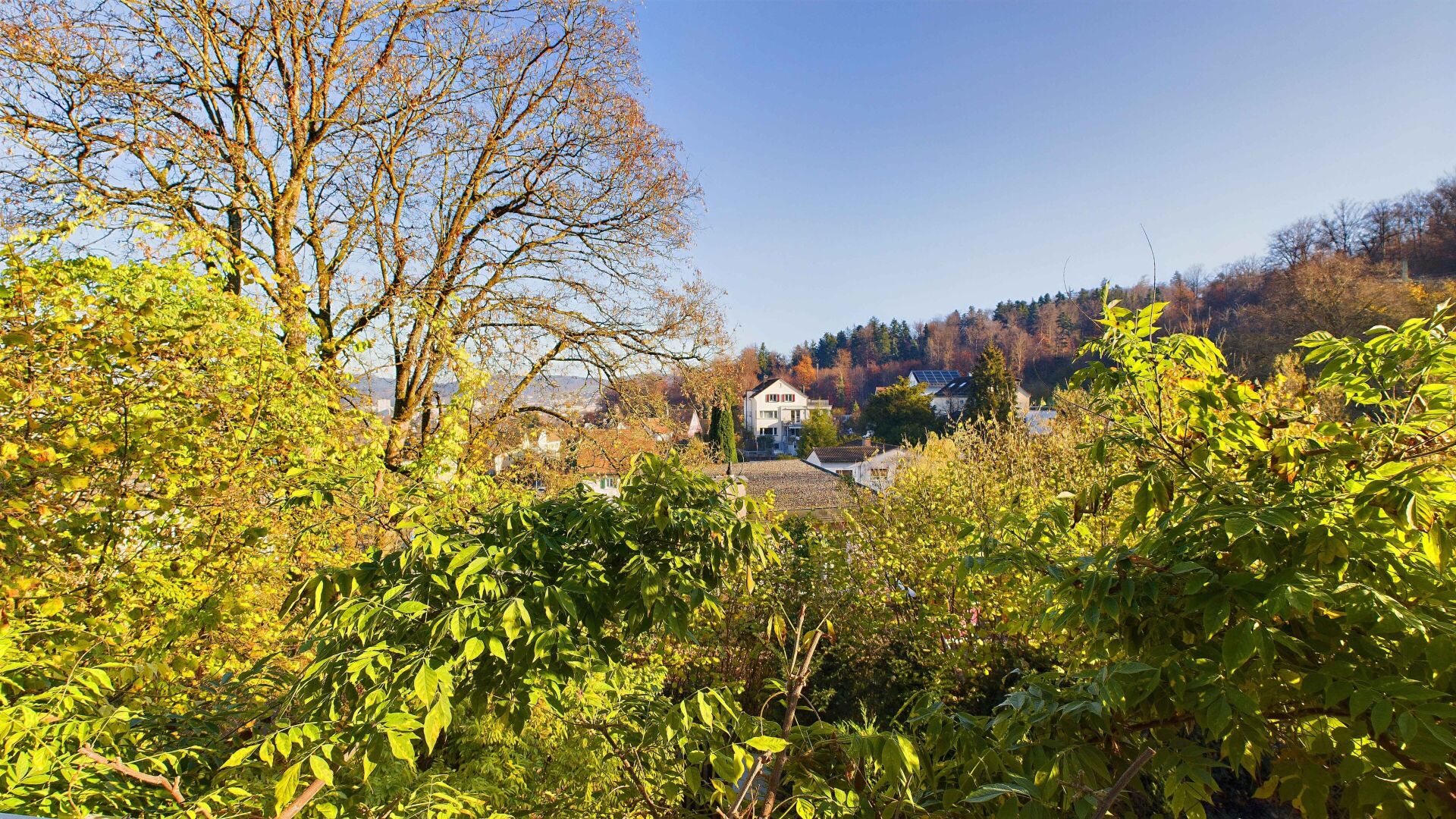 Garten- und Landschaftsblick