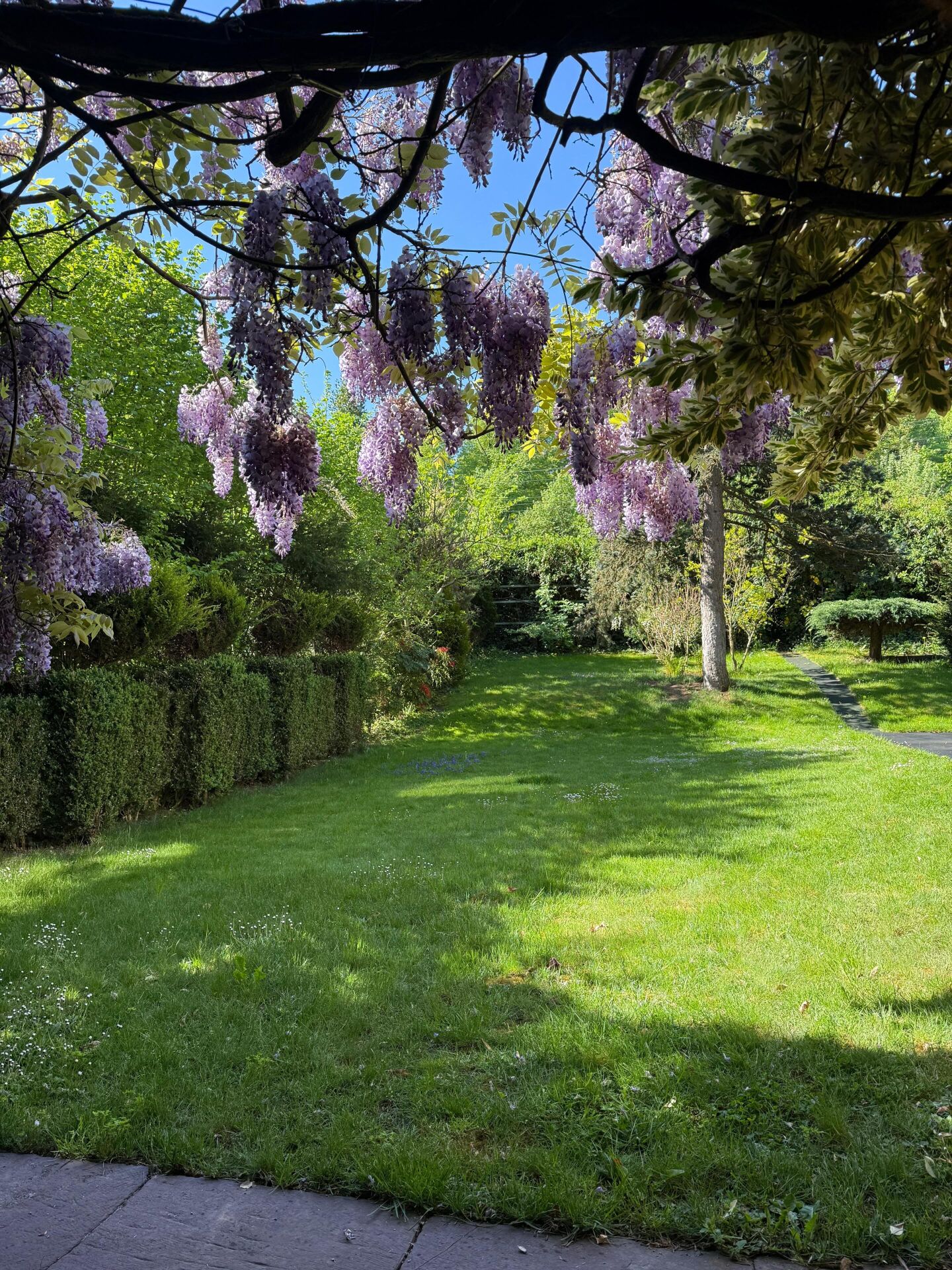 Blühender Garten mit Pergola-Überdachung