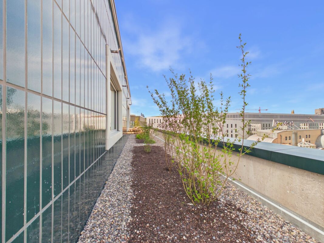 Dachterrasse mit Pflanzbeeten und Stadtblick