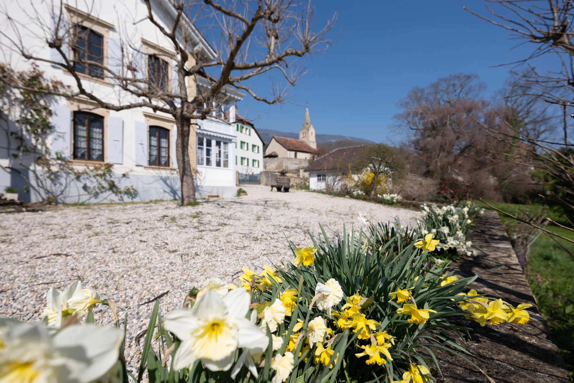 Außenansicht eines Hauses mit Garten und Blumenbeet