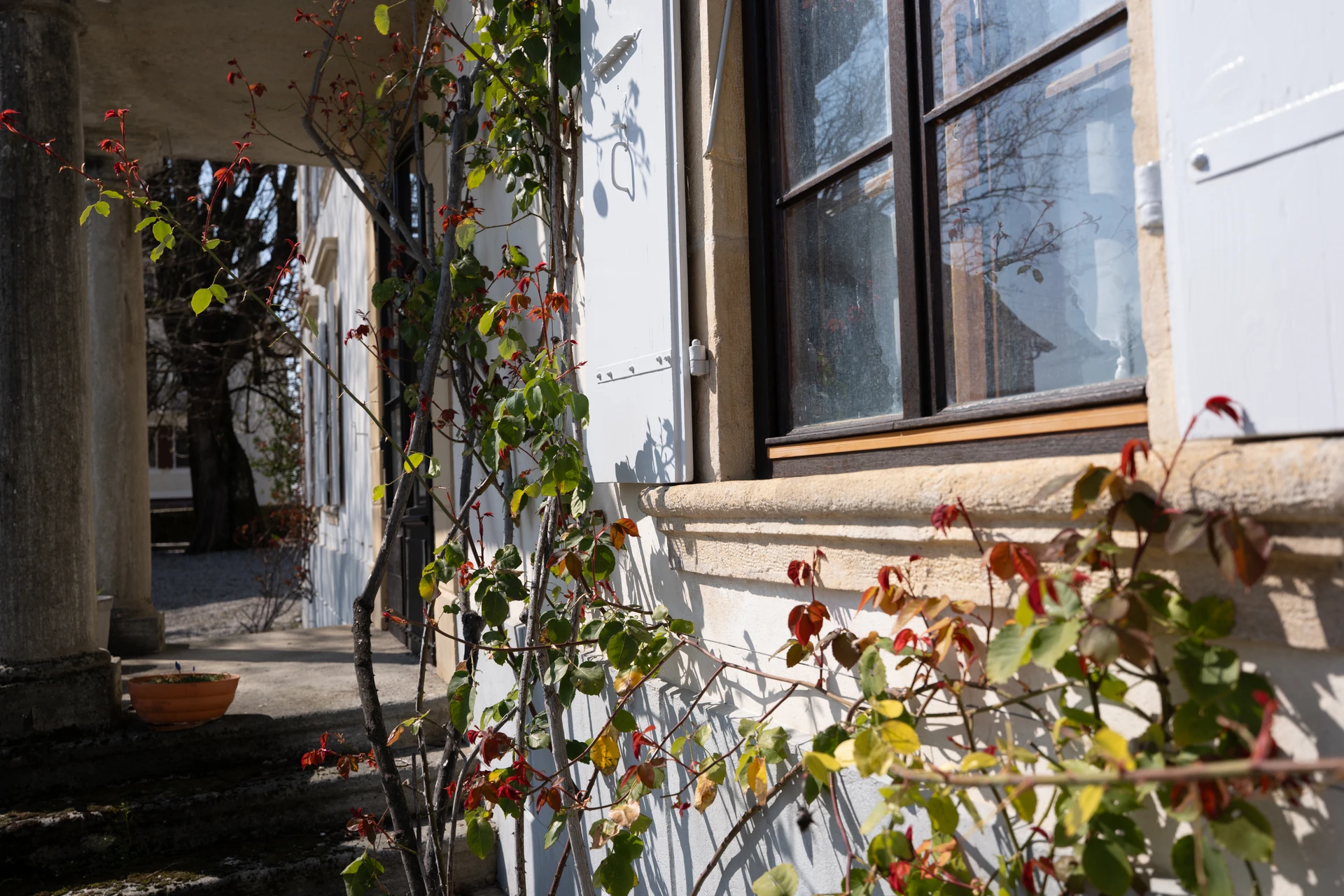 Heller Außenbereich an einer Fassade mit Fensterläden und Pflanzen